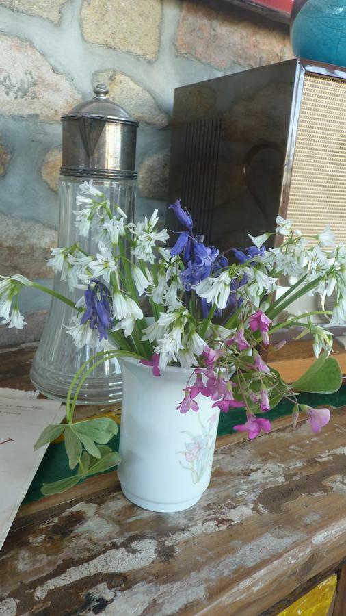 La Maison Des Musiciens Bed & Breakfast Digosville